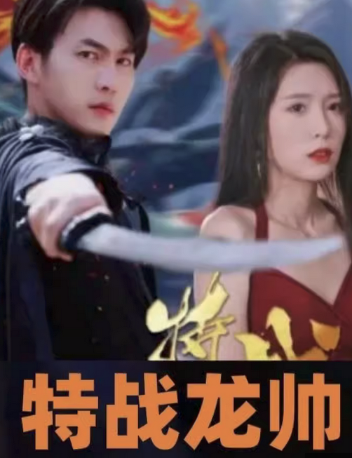 特战龙帅(1080)