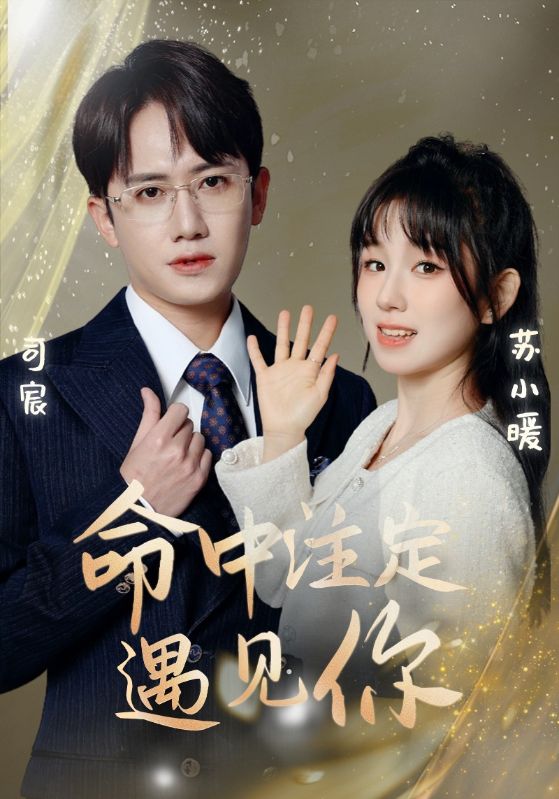 命中注定遇见你(蓝光)