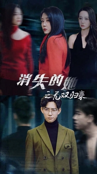 消失的她之无双归来(蓝光)
