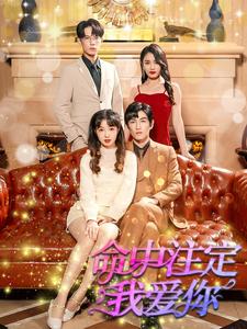 命中注定我爱你(1080)