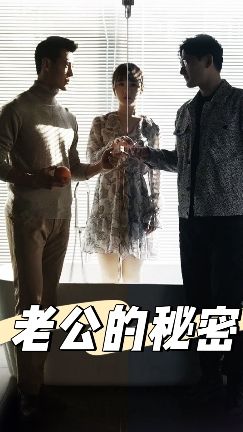 老公的秘密(蓝光)