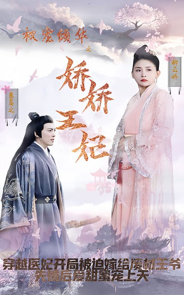 权宠倾华之娇娇王妃(蓝光)