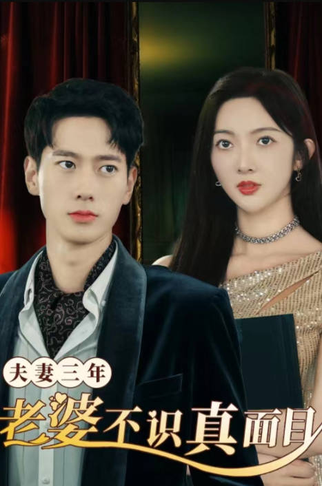 夫妻三年老婆不识真面目苍穹之上(蓝光)