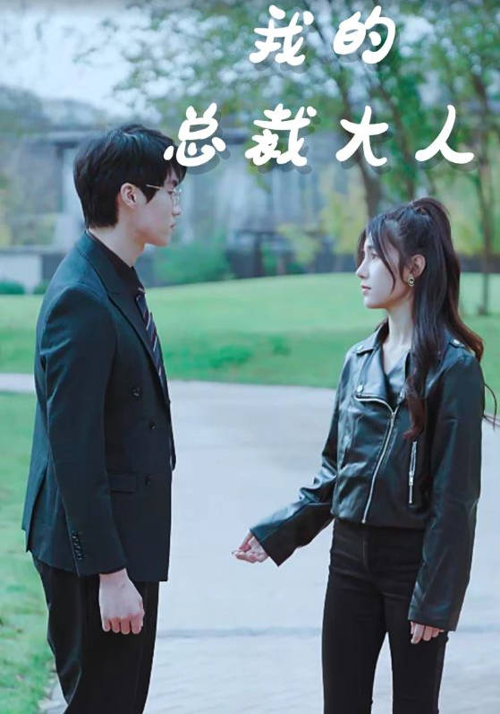 我的总裁大人(蓝光)