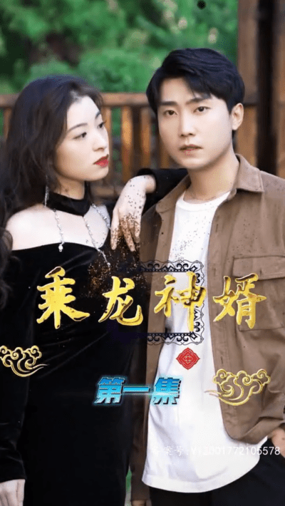 乘龙神婿(蓝光)