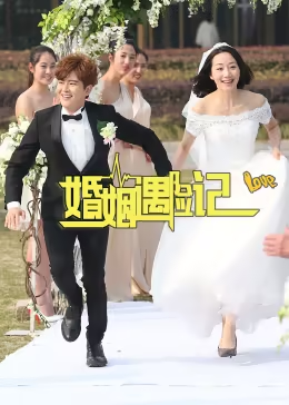 婚姻遇险记(1080)