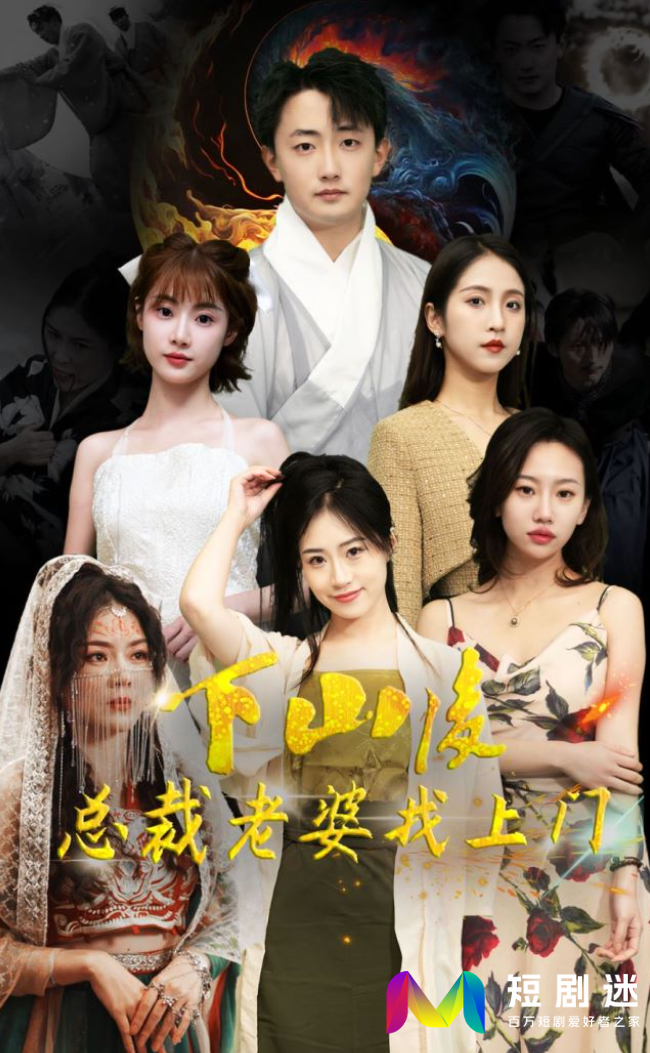 下山后总裁老婆找上门（蓝光）