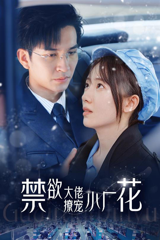 禁欲大佬撩宠小厂花小可怜靠生子宠冠电子厂（蓝光）