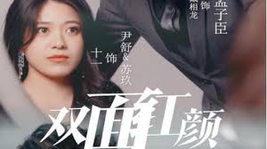 双面红颜(1080)