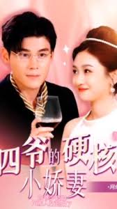 四爷夫人又和人打起来了（蓝光）