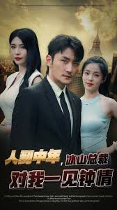 人到中年冰山总裁对我一见钟情（1080）