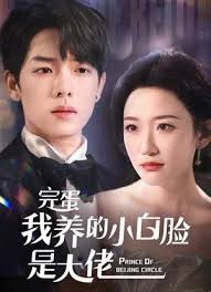 京圈太子爷每天都想转正完蛋我养的小白脸是京圈太子爷(4K)